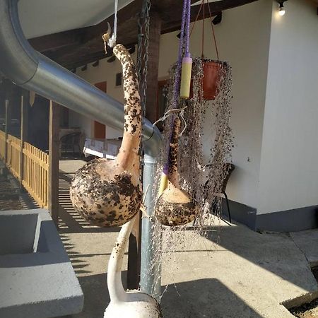 شقة Seosko Turisticko Domacinstvo Milka Čačak المظهر الخارجي الصورة